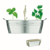 Zinc tub with 3 herbs seeds in matt-silver copia